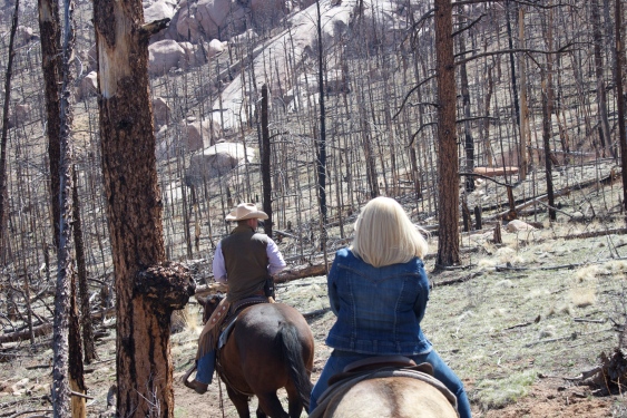 Horseback riding through the Hayman burn area with our guide, Paul... the London cowboy. (May 2013) 